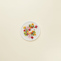 Jharkhand Network Embroidery Glass Top - Flower
